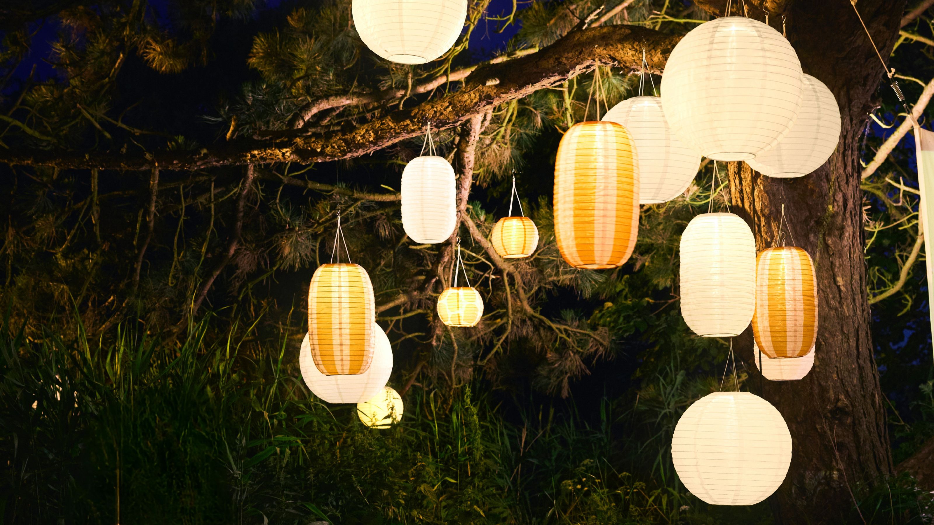 IKEA solar-powered outdoor lanterns hanging in a tree
