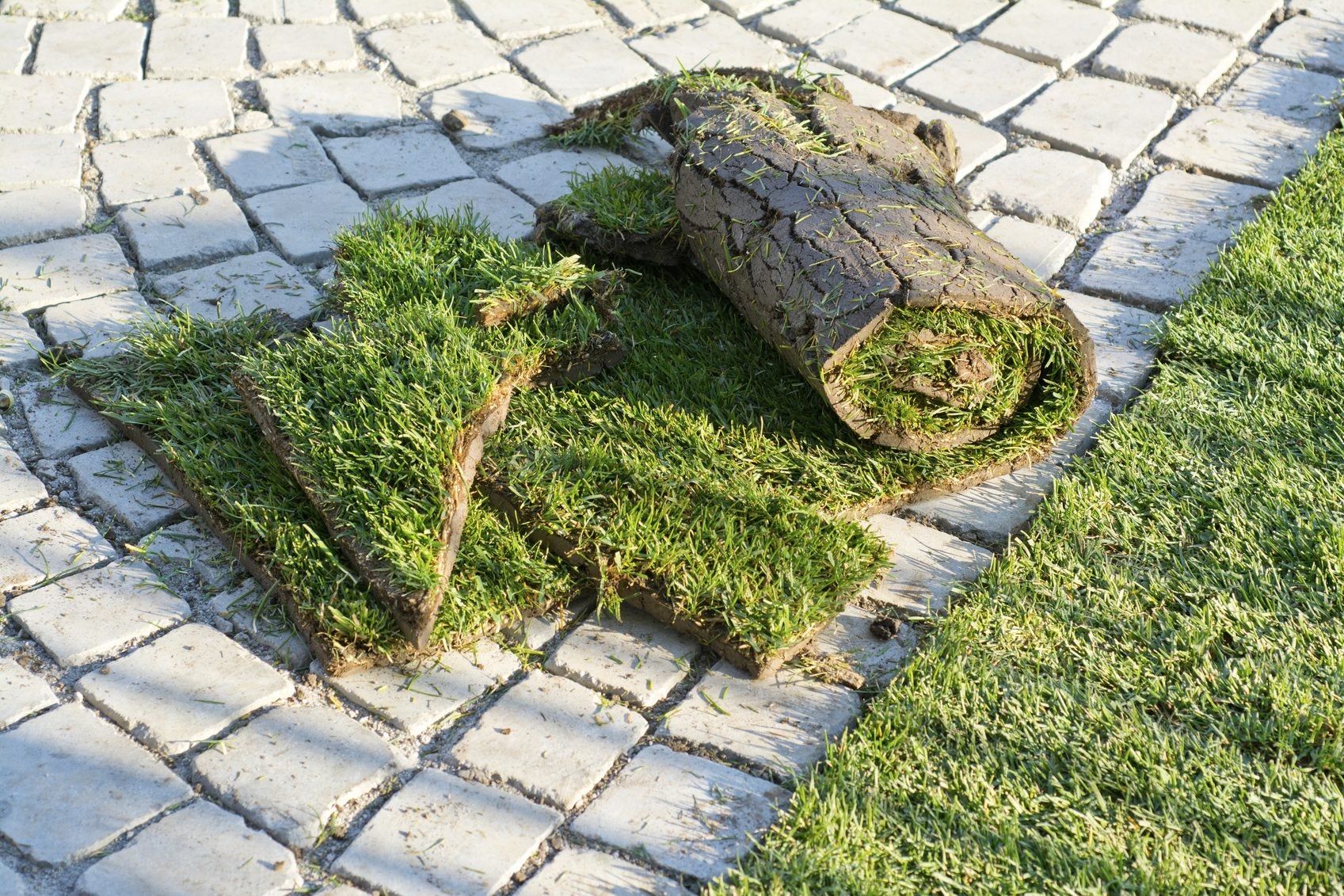 What To Do With Dug Up Grass Tips For Creating A Composting Sod Pile Gardening Know How