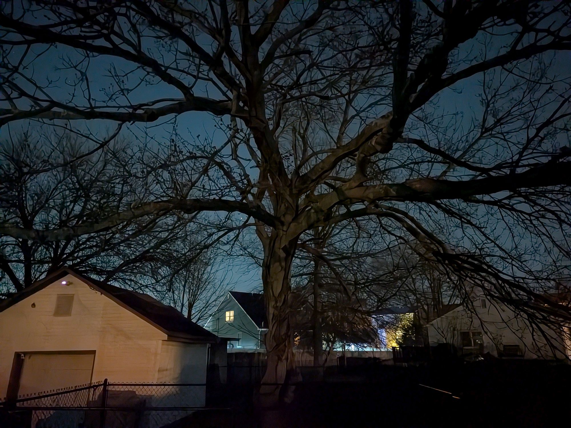 Google Pixel 10a camera sample.