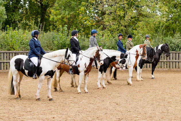 London Riding Horse Show