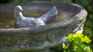 stone bird bath