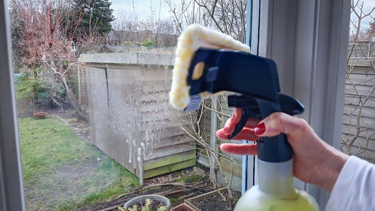 Karcher WV 6 Plus Cordless Window Vac