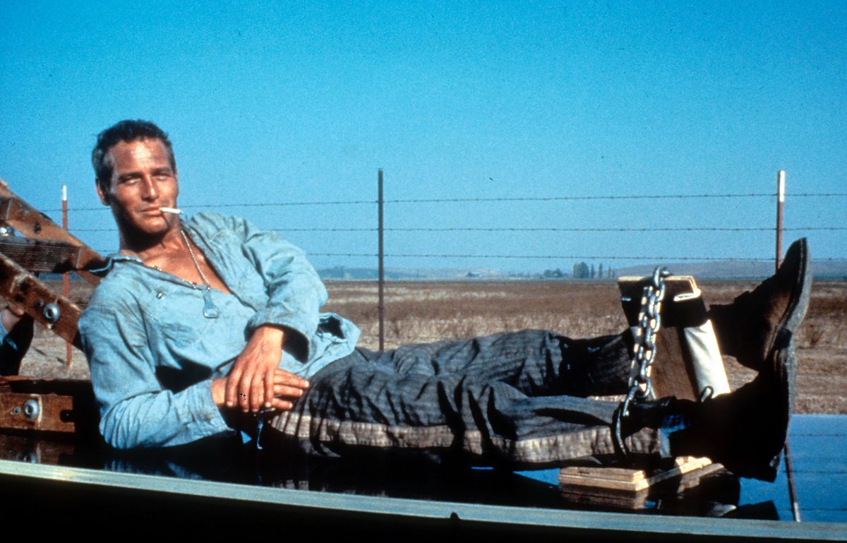 Paul Newman in &quot;Cool Hand Luke.&quot;