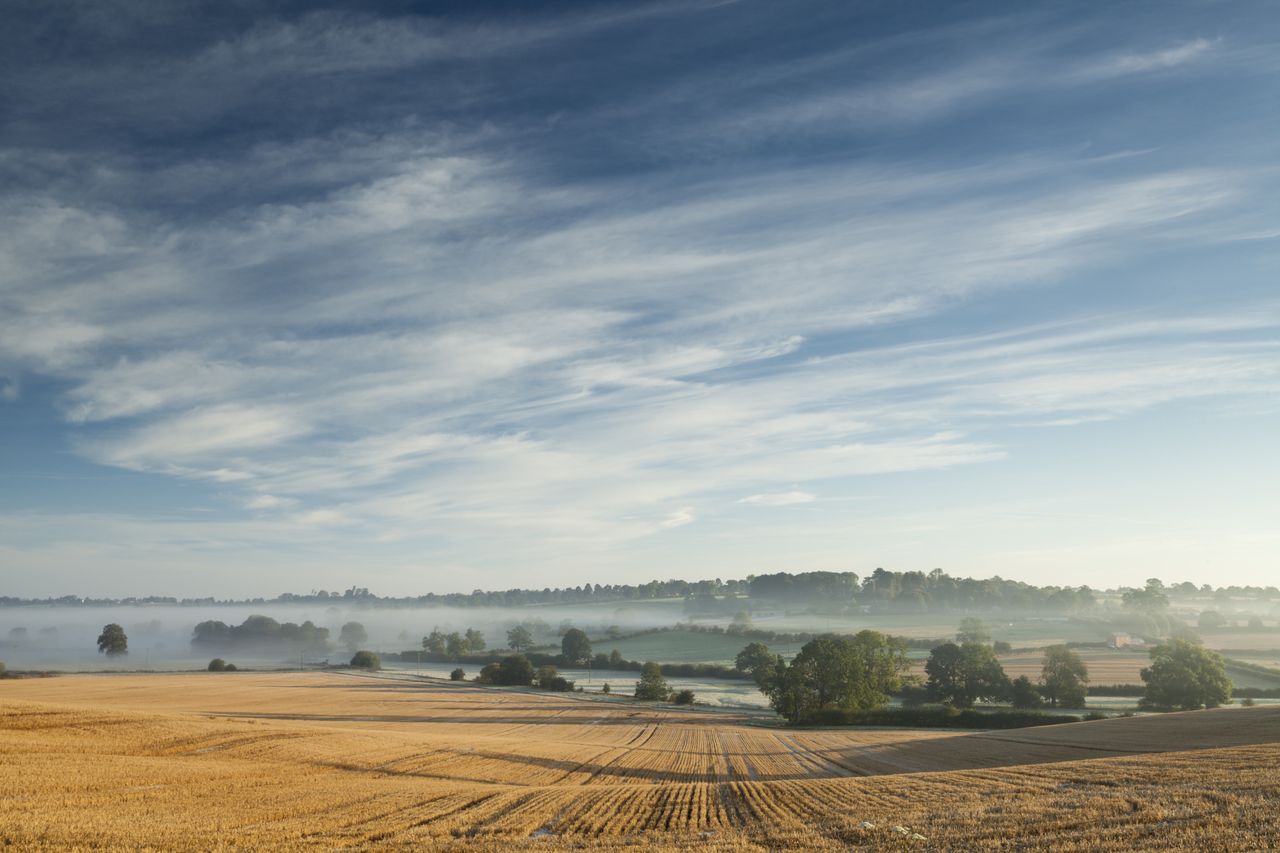 Dawn mist in a shallow valley near Holdenby in Northamptonshire,