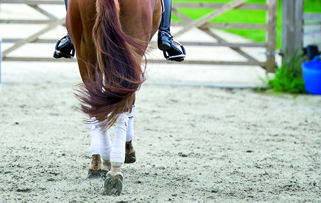 schooling