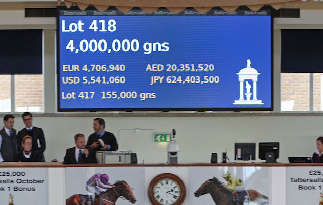 Lot 418 TBK1 1723&amp;copy;Tattersalls