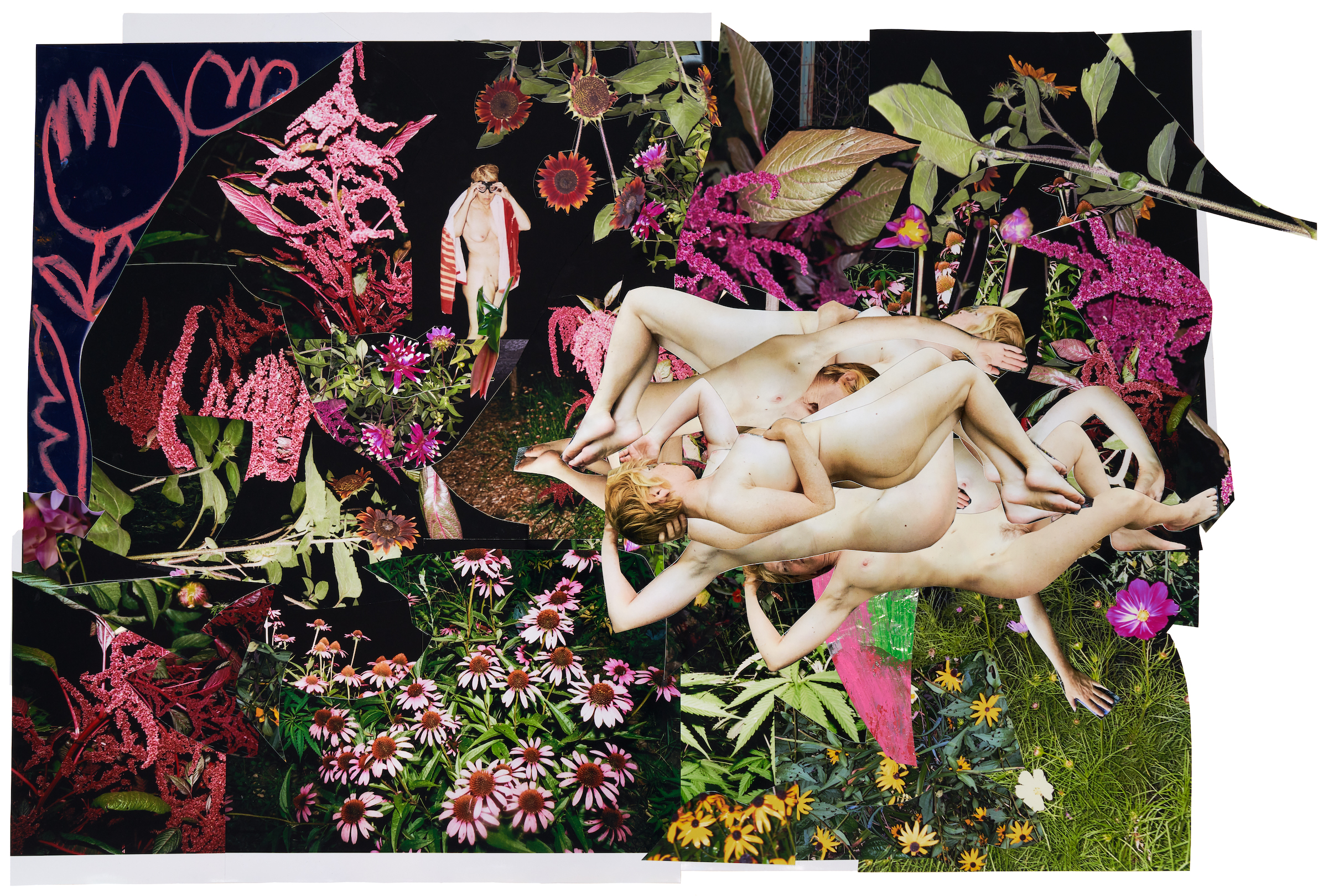 collage