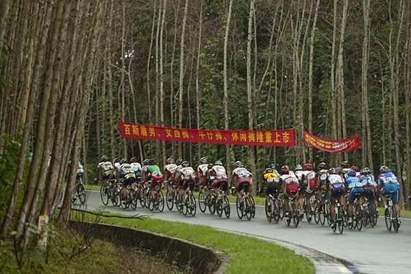 The peloton in search of a leading group around three minutes up the road.
