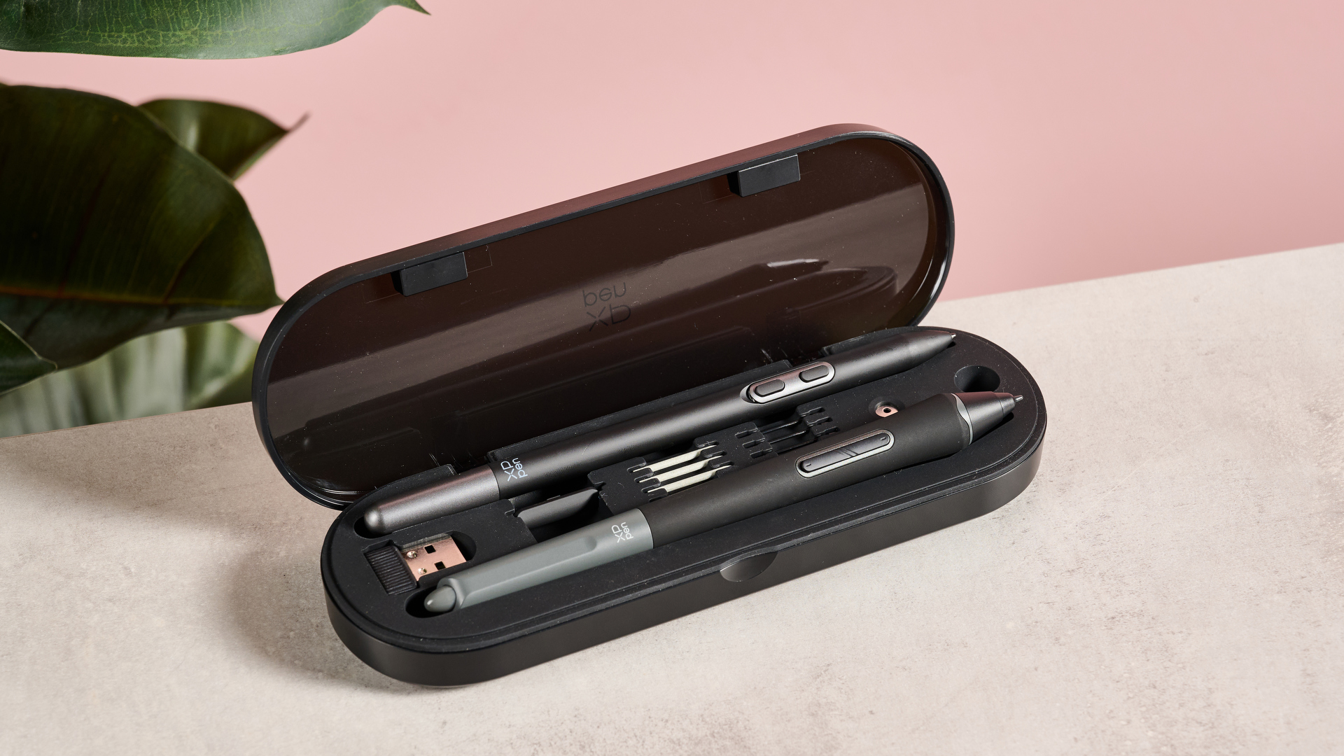 Both Styli and their accessories can be seen in the convenient case.