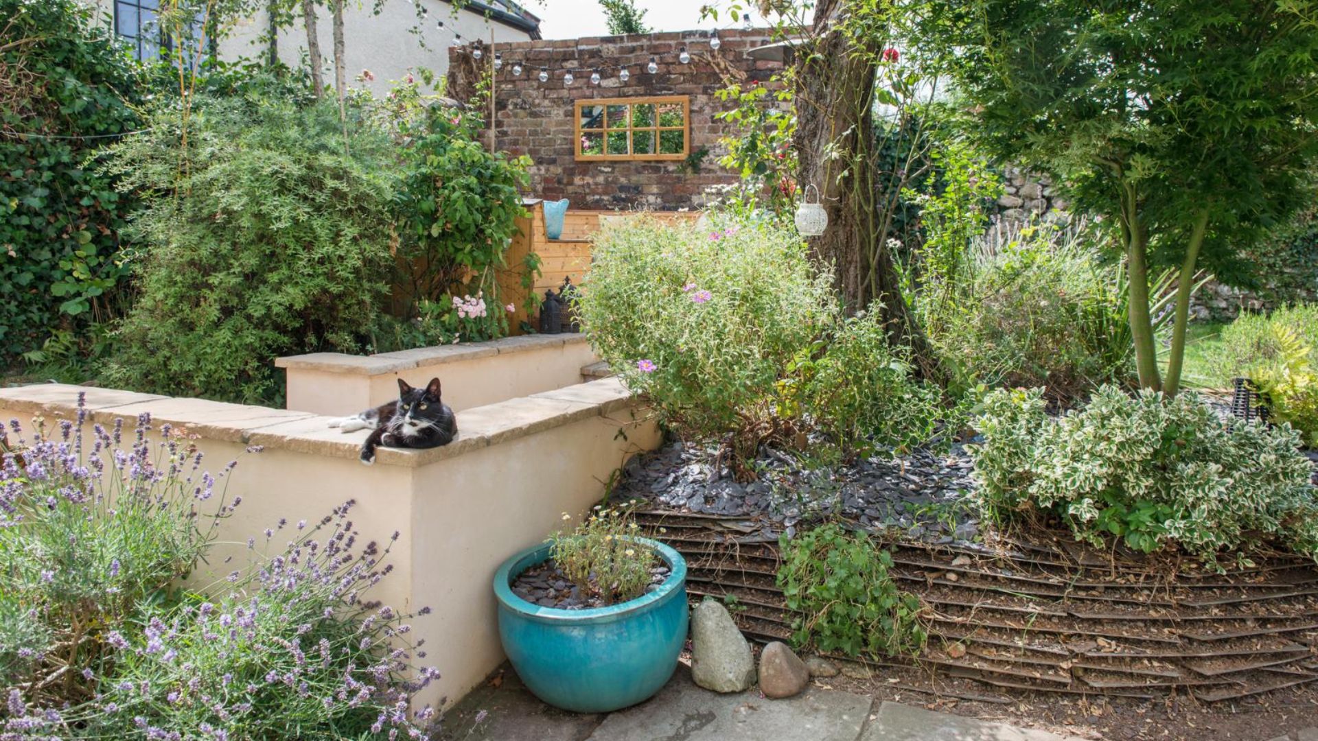 picture of rustic garden with foliage, lights, plant pots and black cat
