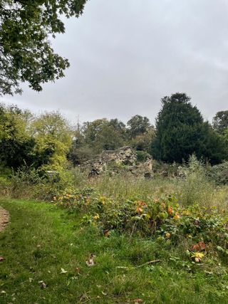 Wanstead Flats