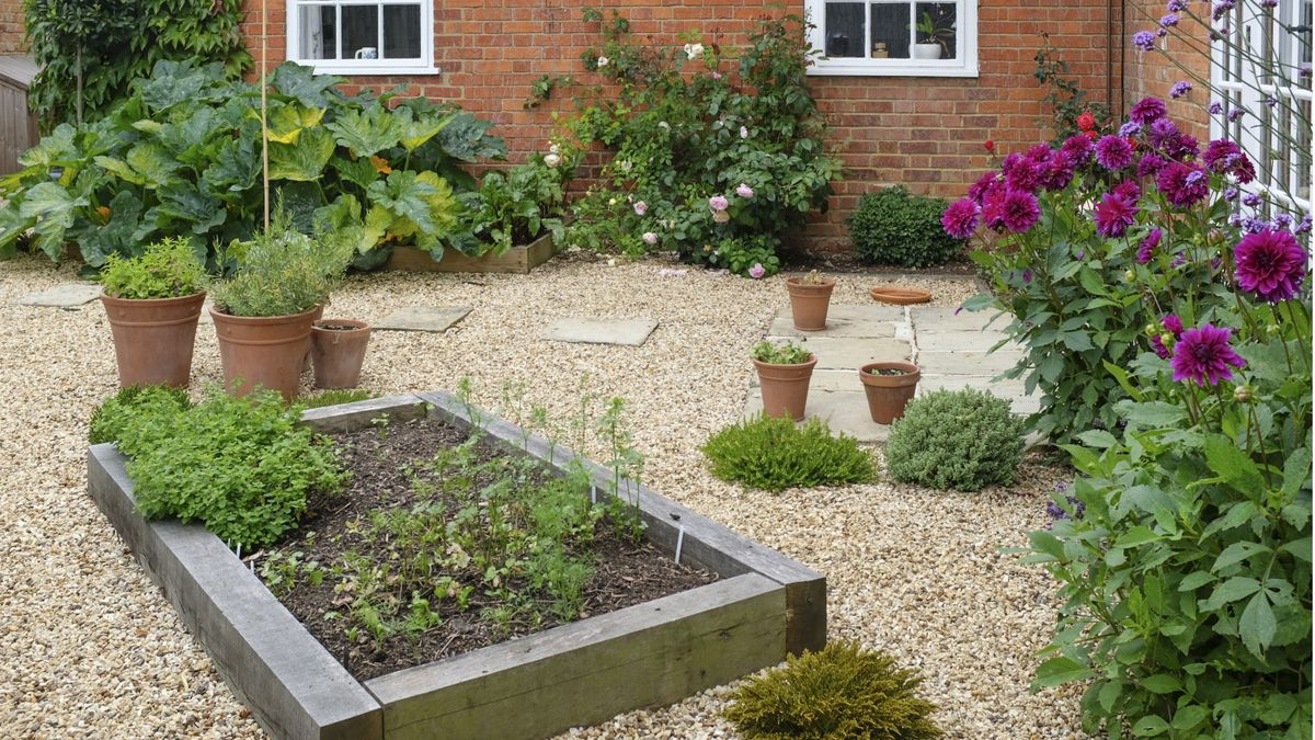 Patio vegetable garden ideas: 5 ways to grow your own | Homes and Gardens