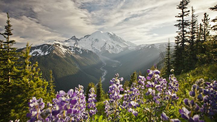 Best mountains to climb in the US: 7 spectacular mountains | Advnture