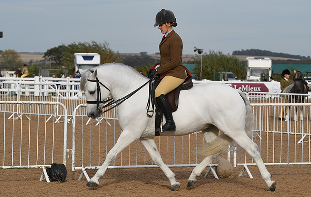 Heritage Show 13 10 2018