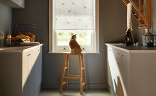 roller blinds in a kitchen with a cat