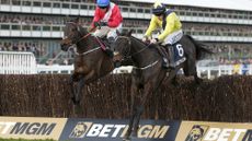 CHELTENHAM, ENGLAND - MARCH 12: Sean Flanagan riding Marine Nationale (yellow) clear the last to win The BetMGM Queen Mother Champion Chase during Day Two of the 2025 Cheltenham Festival at Cheltenham Racecourse on March 12, 2025 in Cheltenham, England. Spectators are encouraged to dress up in their finery on Style Wednesday (previously known as Ladies Day). (Photo by Alan Crowhurst/Getty Images)