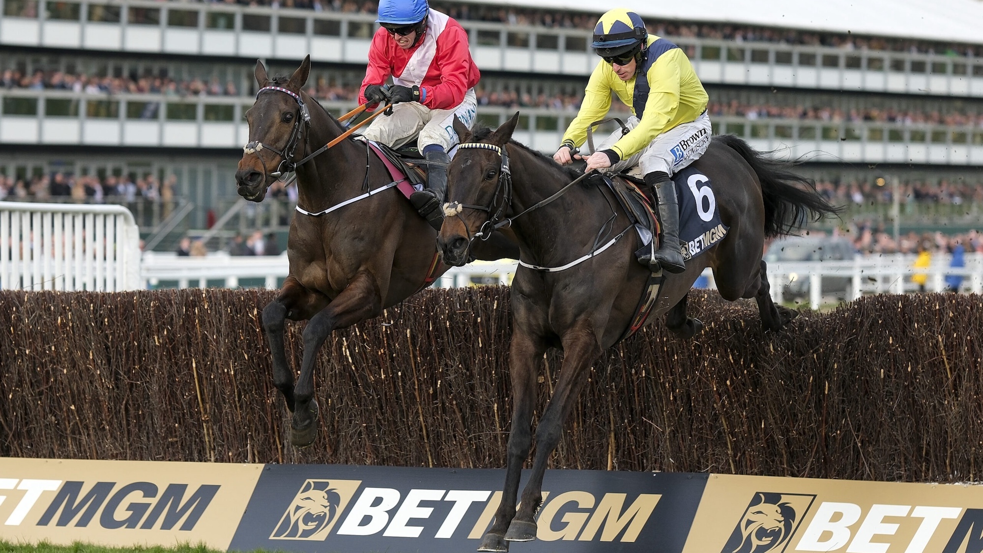 CHELTENHAM, ENGLAND - MARCH 12: Sean Flanagan riding Marine Nationale (yellow) clear the last to win The BetMGM Queen Mother Champion Chase during Day Two of the 2025 Cheltenham Festival at Cheltenham Racecourse on March 12, 2025 in Cheltenham, England. Spectators are encouraged to dress up in their finery on Style Wednesday (previously known as Ladies Day). (Photo by Alan Crowhurst/Getty Images)