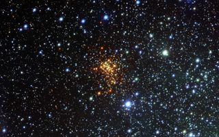 Westerlund 1 Star Cluster 