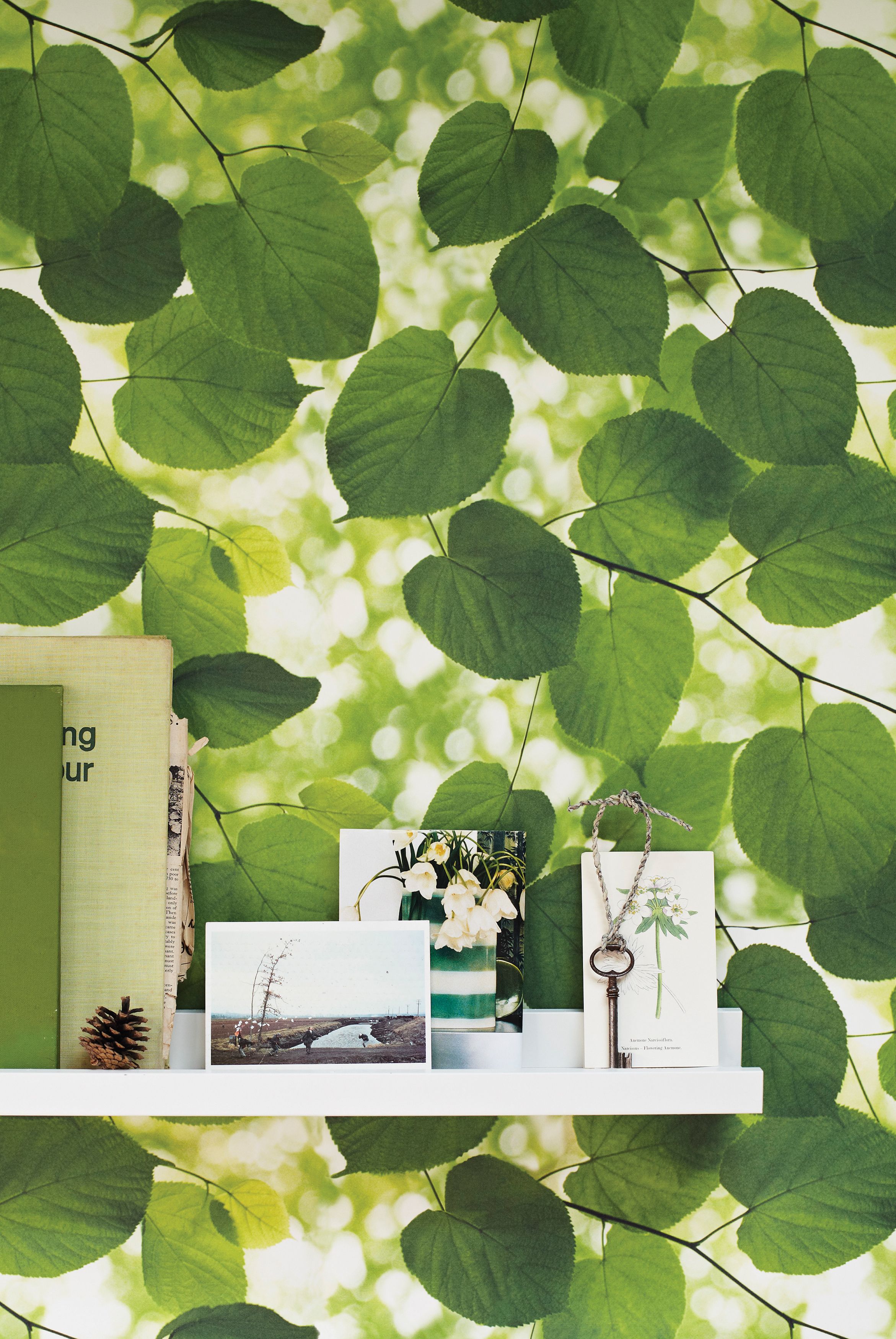 18 beautiful botanical wallpaper ideas | Real Homes