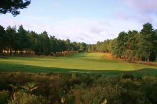 hankley 14th hole