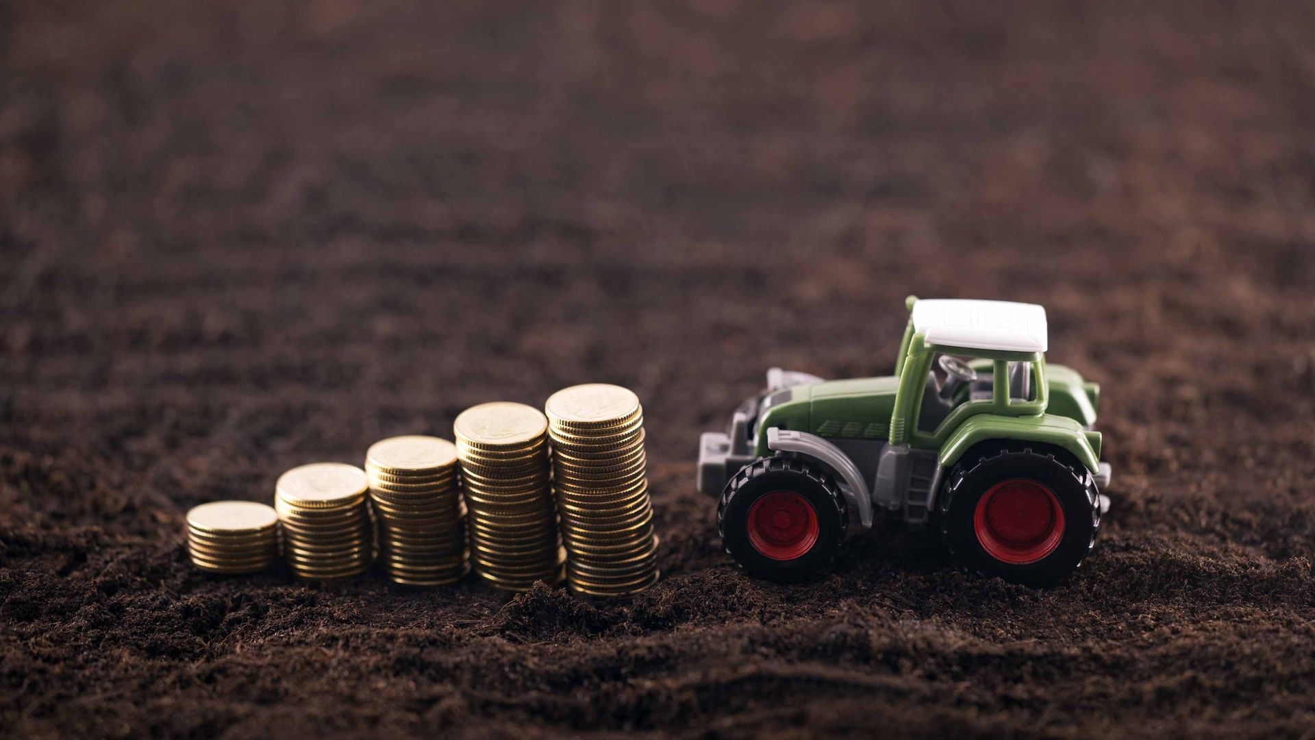 The 12 Best Vanguard Funds for 2022 Kiplinger