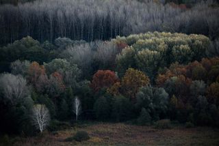 GDT European Wildlife Photographer of the Year 2023