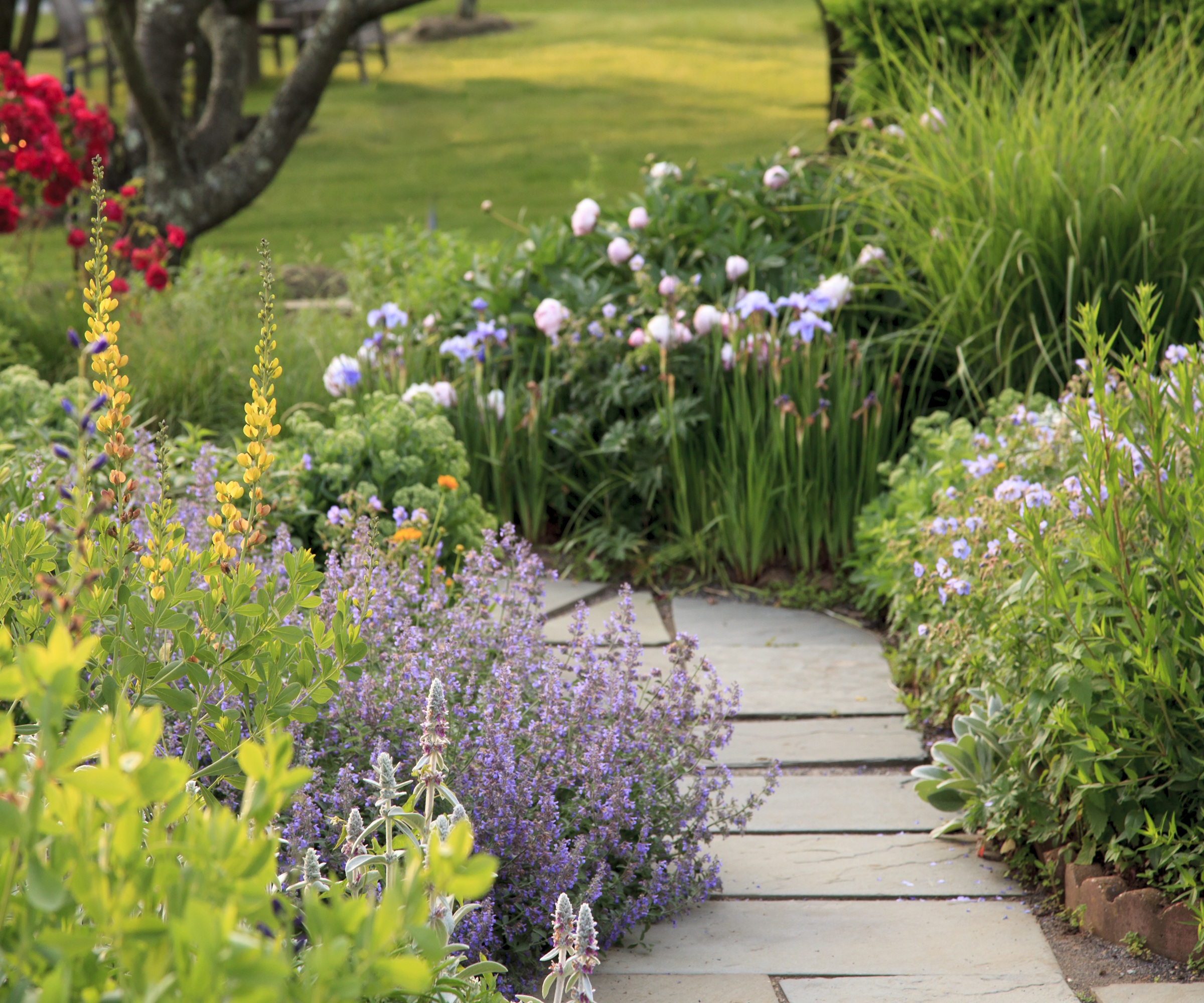 paved stone path with soft planting
