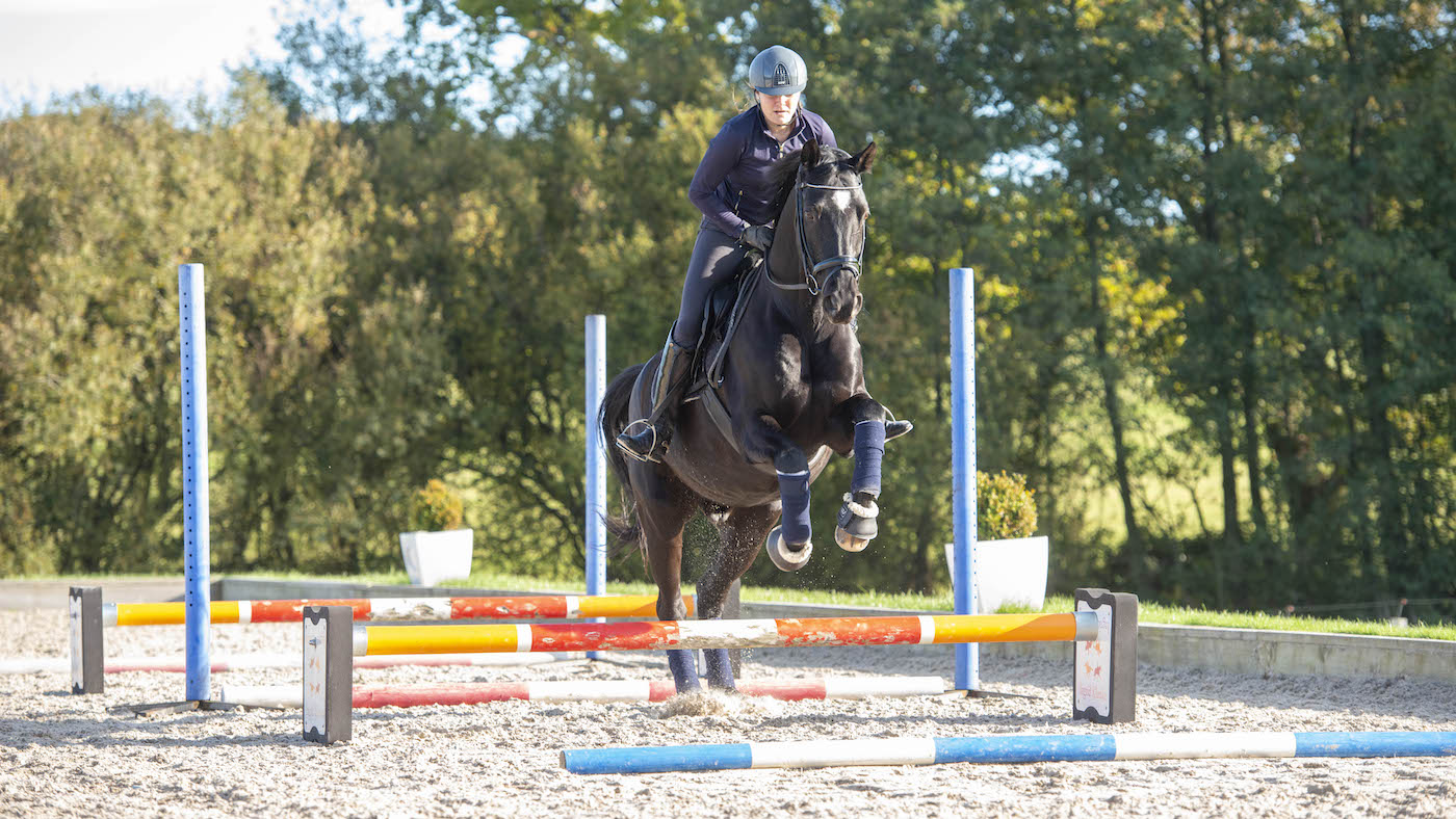 Jumping gridwork with a dressage horse