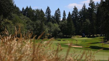 The 7th hole at Pumpkin Ridge