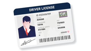 Driver's License with Facepalm Headshot