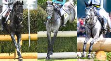 Future eventing stars: Kojak (Georgie Goss), SBH Big Wall (Izzy Taylor) and Caspian 15 (Louise Romeike)