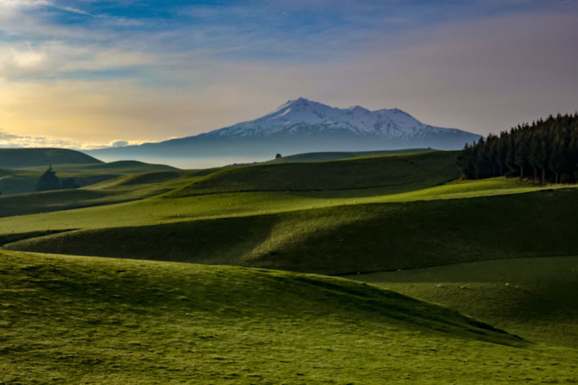 GuruShots March 2026