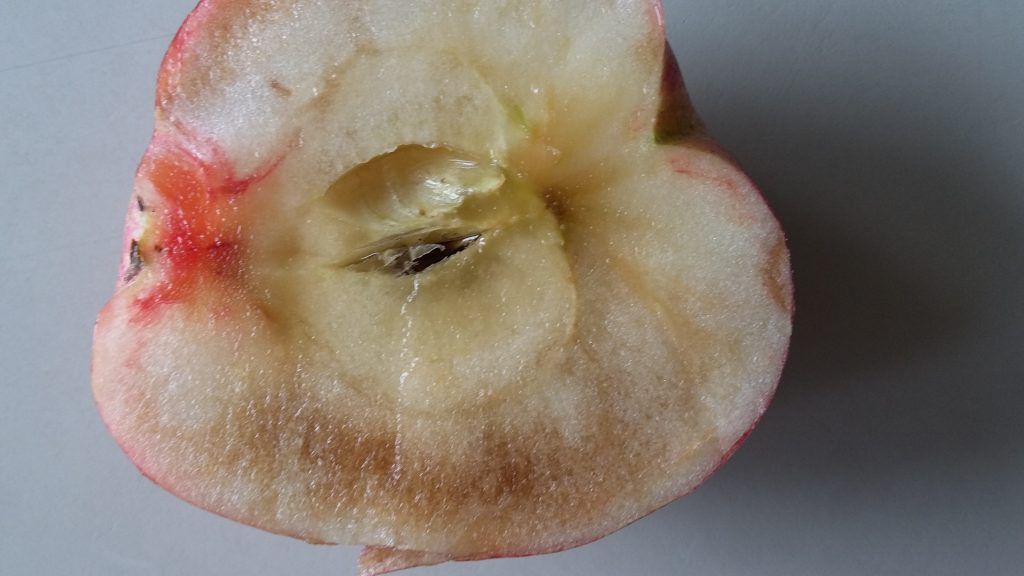 Inside Of An Apple With Soggy Breakdown Disorder