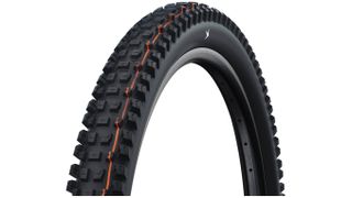 Schwalbe Albert Radial gravity tire studio shot