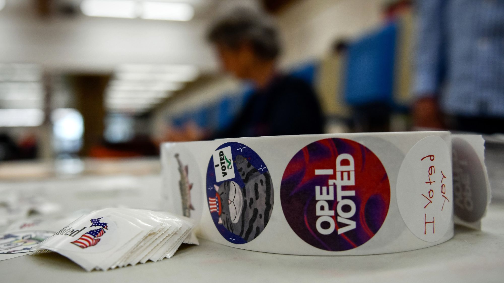 Judge blocks Trump suit for Michigan voter rolls