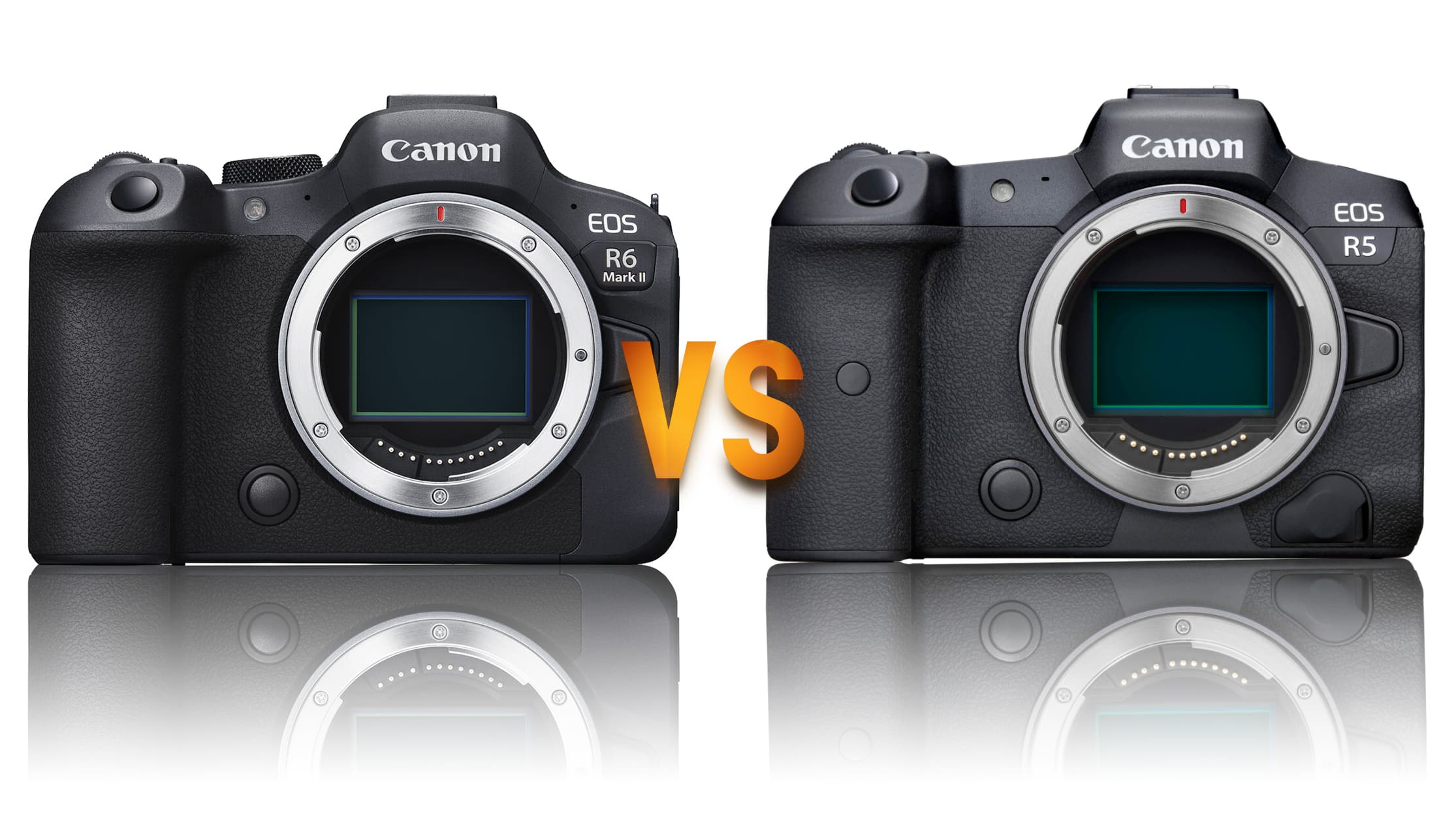 difference between canon r5 and r6