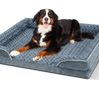 PayUSD Large Dog Bed