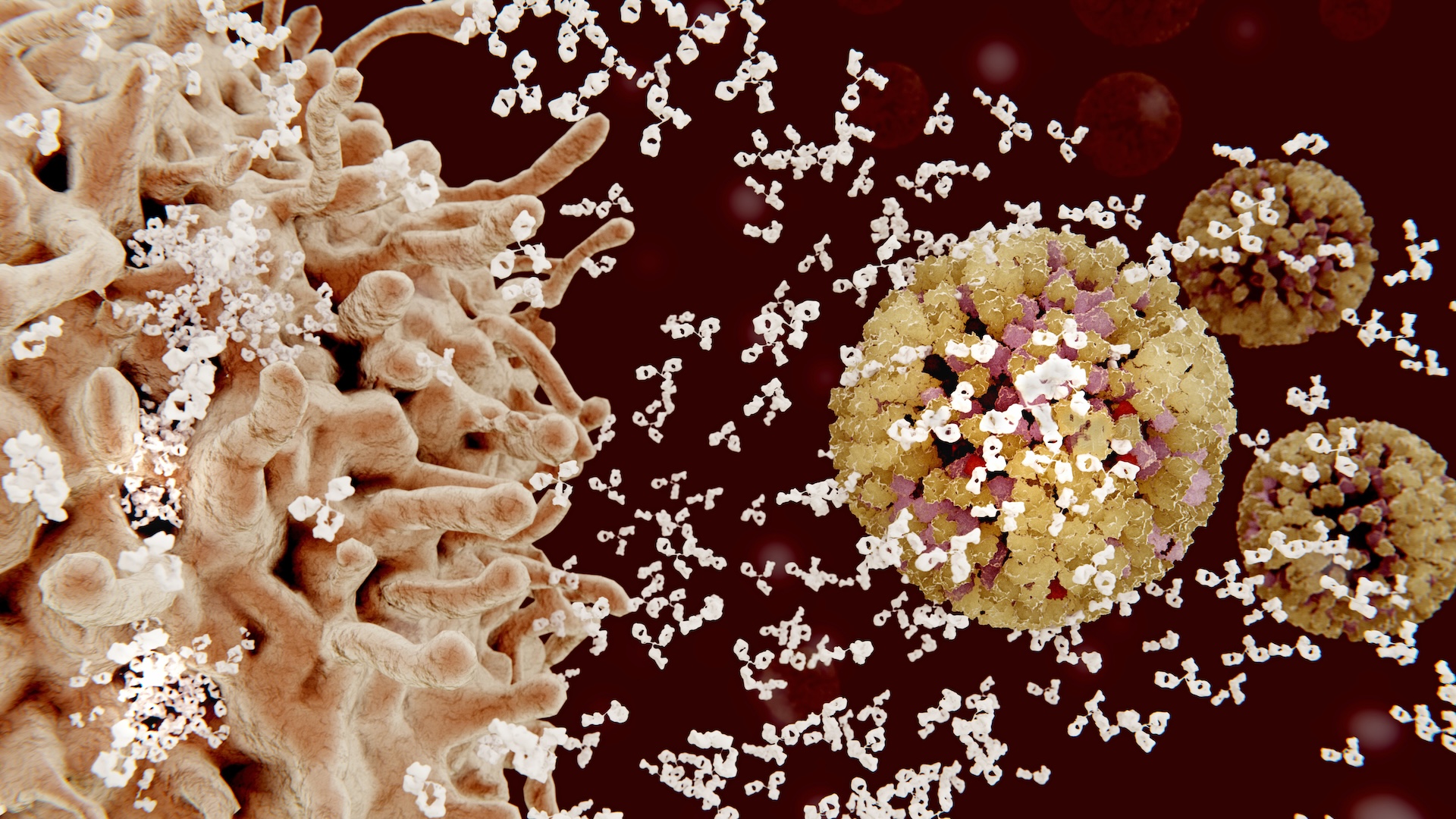 a digital rendering of antibodies being released from an immune cell and moving toward a cluster of viruses