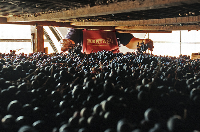 drying-grapes-a-1.jpg