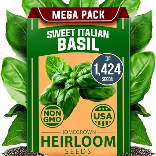 Amazon basil seeds