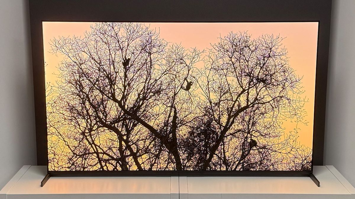 The 55-inch Sony Bravia 8 II QD-OLED TV photographed on a white table. On the screen is a nature documentary.