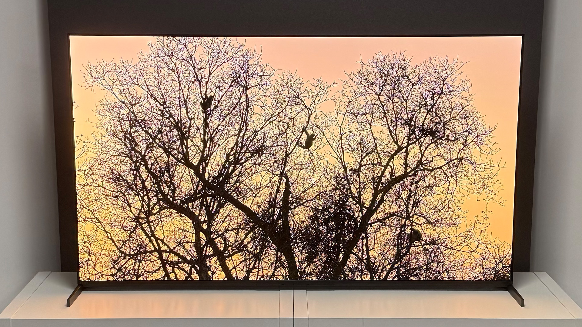 The 55-inch Sony Bravia 8 II QD-OLED TV photographed on a white table. On the screen is a nature documentary.