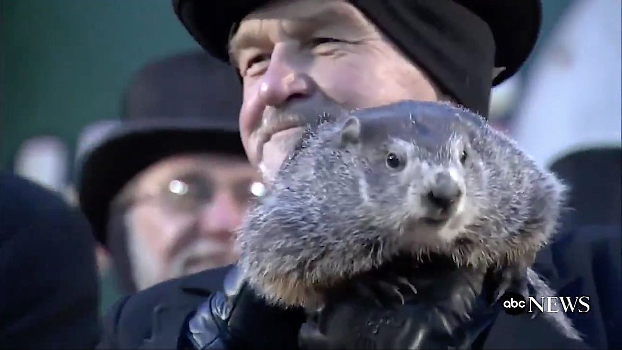 Punxsutawney Phil sees his shadow