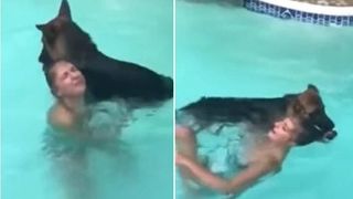 German Shepherd dives into pool to save mom