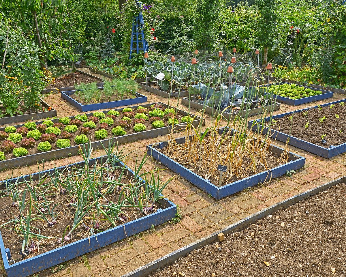 No-Till Raised Beds - Creating A No-Dig Garden | Gardening Know How