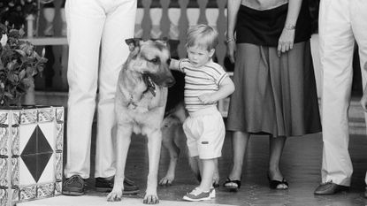 Photo of King Charles putting Prince Harry on a dog sparks so many ...