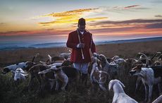 NEW-TO-USE-DulvFarmers220.jpg