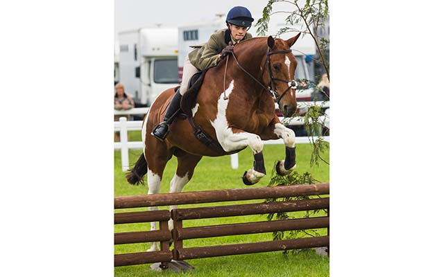 Royal Cornwall Show 2018
