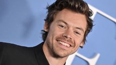 harry styles on a blue background