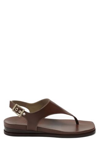 Bernardo brown Concord Low Wedge Sandals on a white background